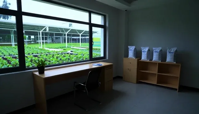 提升种植效率的关键在于精准方向把控